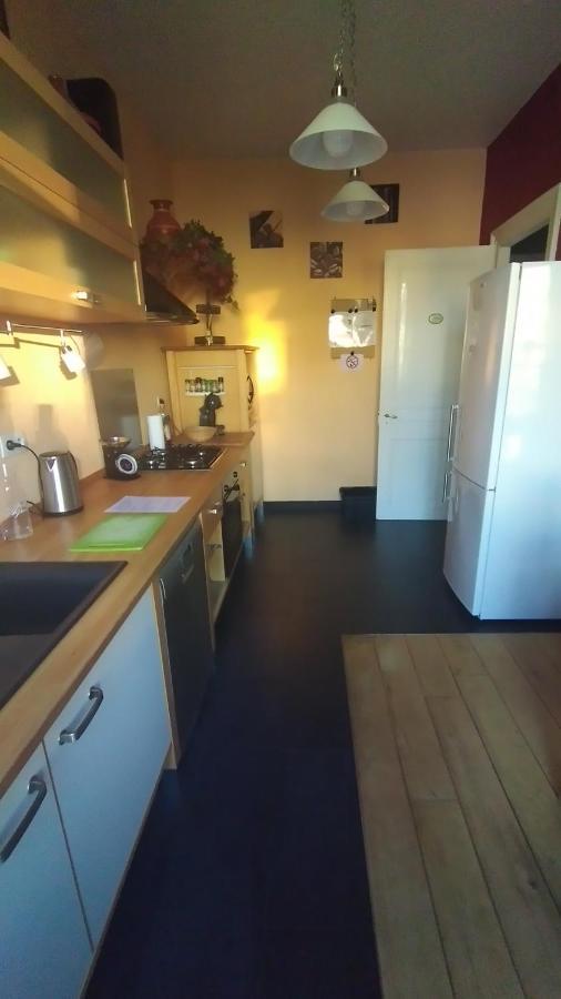 Le grand Charpentier Appartement Mulhouse Buitenkant foto