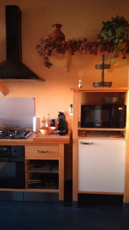 Le grand Charpentier Appartement Mulhouse Buitenkant foto