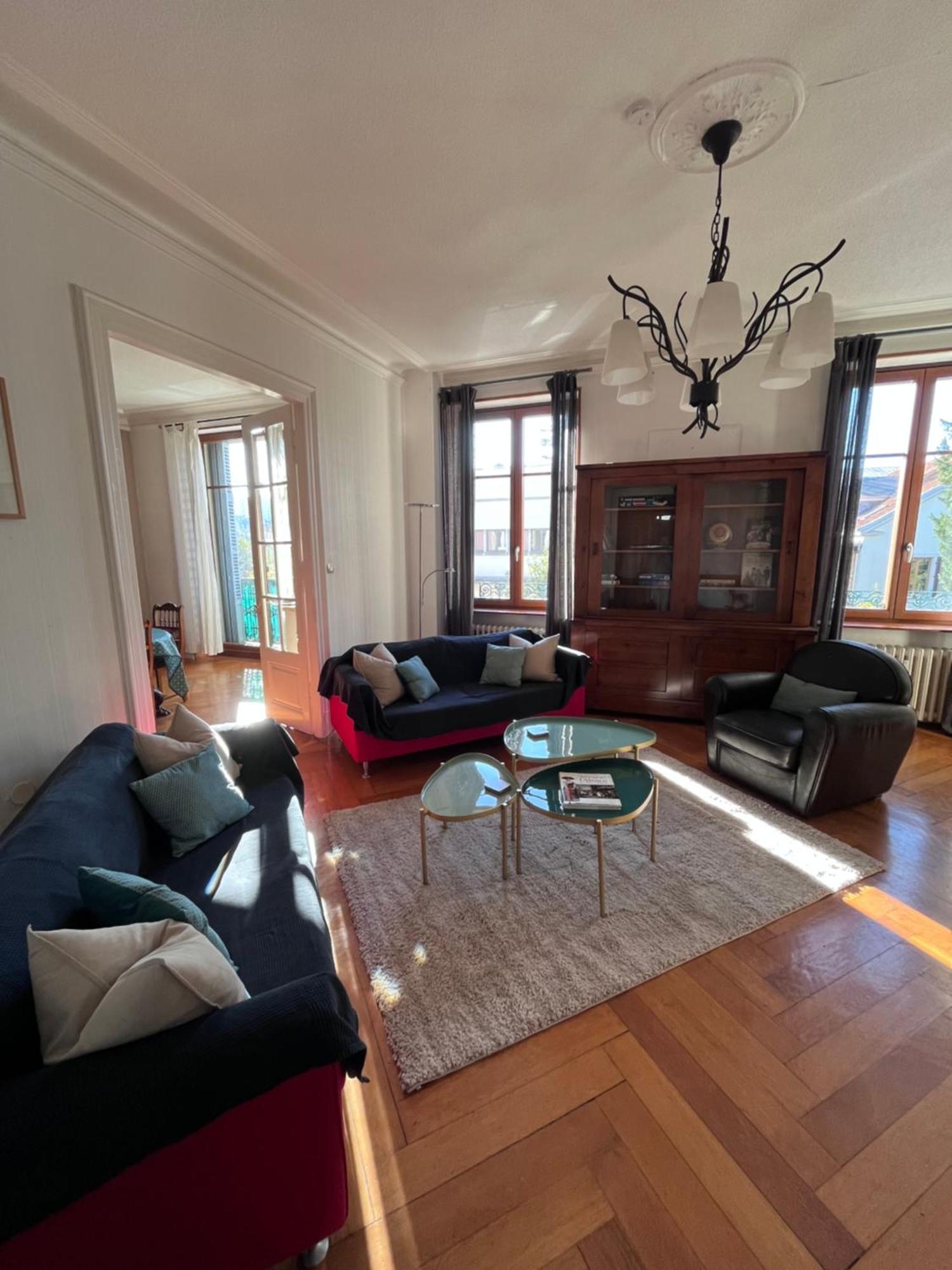 Le grand Charpentier Appartement Mulhouse Buitenkant foto