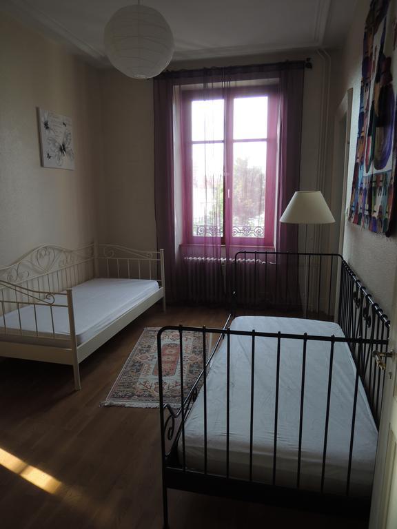 Le grand Charpentier Appartement Mulhouse Buitenkant foto